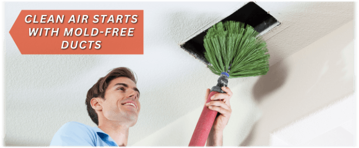 Air Duct Mold Removal in Lawrenceville