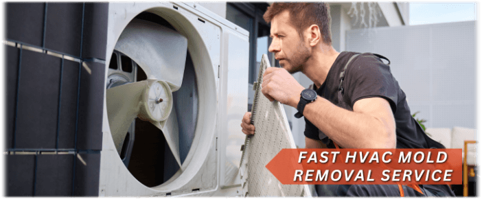 HVAC Mold Removal Lawrenceville